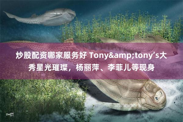 炒股配资哪家服务好 Tony&tony’s大秀星光璀璨，杨丽萍、李菲儿等现身