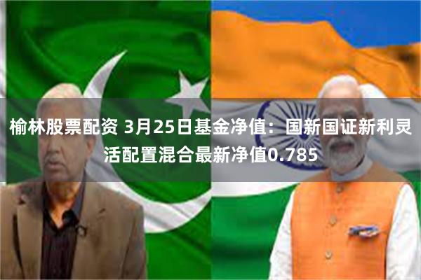榆林股票配资 3月25日基金净值：国新国证新利灵活配置混合最新净值0.785