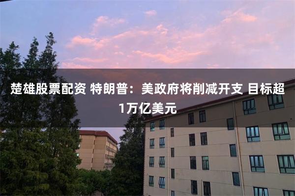 楚雄股票配资 特朗普：美政府将削减开支 目标超1万亿美元