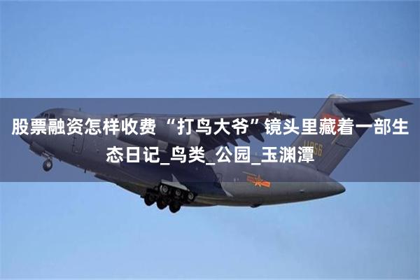 股票融资怎样收费 “打鸟大爷”镜头里藏着一部生态日记_鸟类_公园_玉渊潭