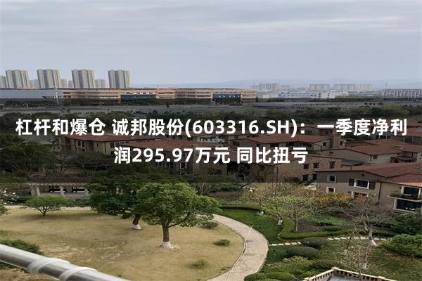 杠杆和爆仓 诚邦股份(603316.SH)：一季度净利润295.97万元 同比扭亏