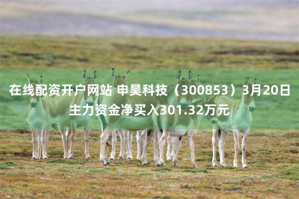 在线配资开户网站 申昊科技（300853）3月20日主力资金净买入301.32万元