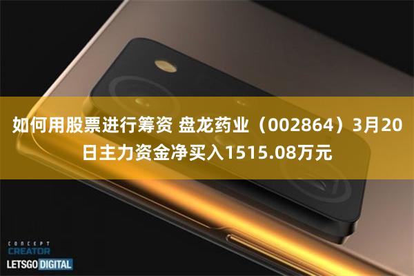 如何用股票进行筹资 盘龙药业（002864）3月20日主力资金净买入1515.08万元
