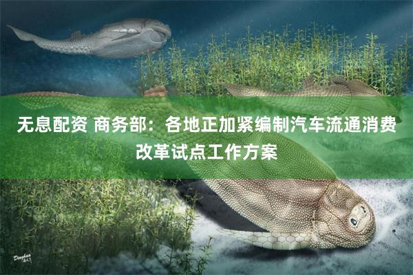无息配资 商务部：各地正加紧编制汽车流通消费改革试点工作方案