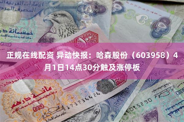 正规在线配资 异动快报：哈森股份（603958）4月1日14点30分触及涨停板