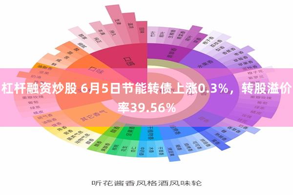 杠杆融资炒股 6月5日节能转债上涨0.3%，转股溢价率39.56%