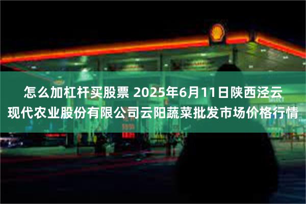 怎么加杠杆买股票 2025年6月11日陕西泾云现代农业股份有限公司云阳蔬菜批发市场价格行情