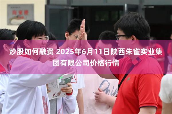 炒股如何融资 2025年6月11日陕西朱雀实业集团有限公司价格行情