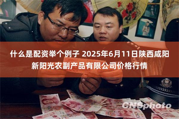 什么是配资举个例子 2025年6月11日陕西咸阳新阳光农副产品有限公司价格行情