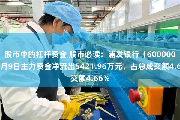 股市中的杠杆资金 股市必读：浦发银行（600000）7月9日主力资金净流出5421.96万元，占总成交额4.66%