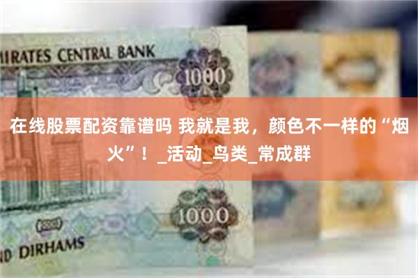 在线股票配资靠谱吗 我就是我，颜色不一样的“烟火”！_活动_鸟类_常成群