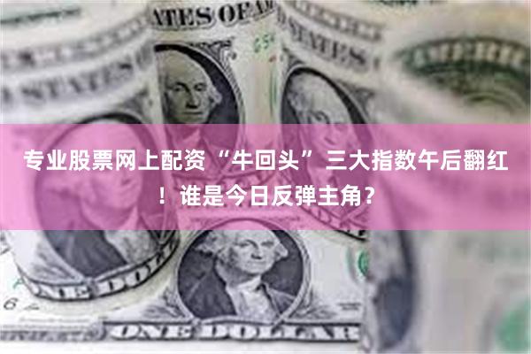 专业股票网上配资 “牛回头” 三大指数午后翻红！谁是今日反弹主角？