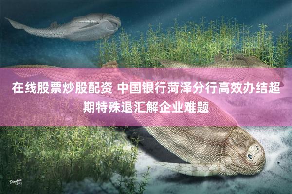 在线股票炒股配资 中国银行菏泽分行高效办结超期特殊退汇解企业难题