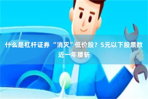 什么是杠杆证券 “消灭”低价股？5元以下股票数近一年腰斩