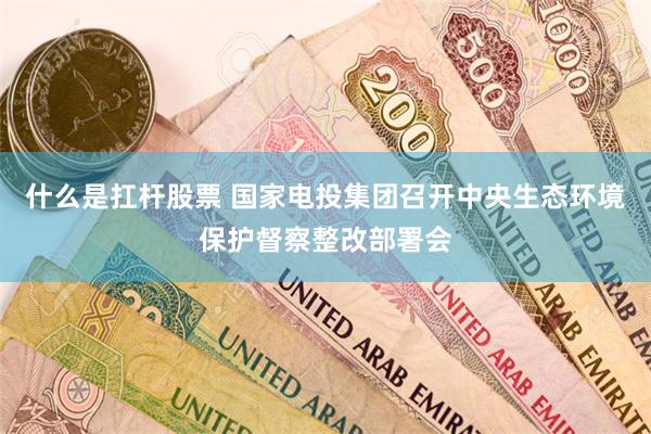 什么是扛杆股票 国家电投集团召开中央生态环境保护督察整改部署会